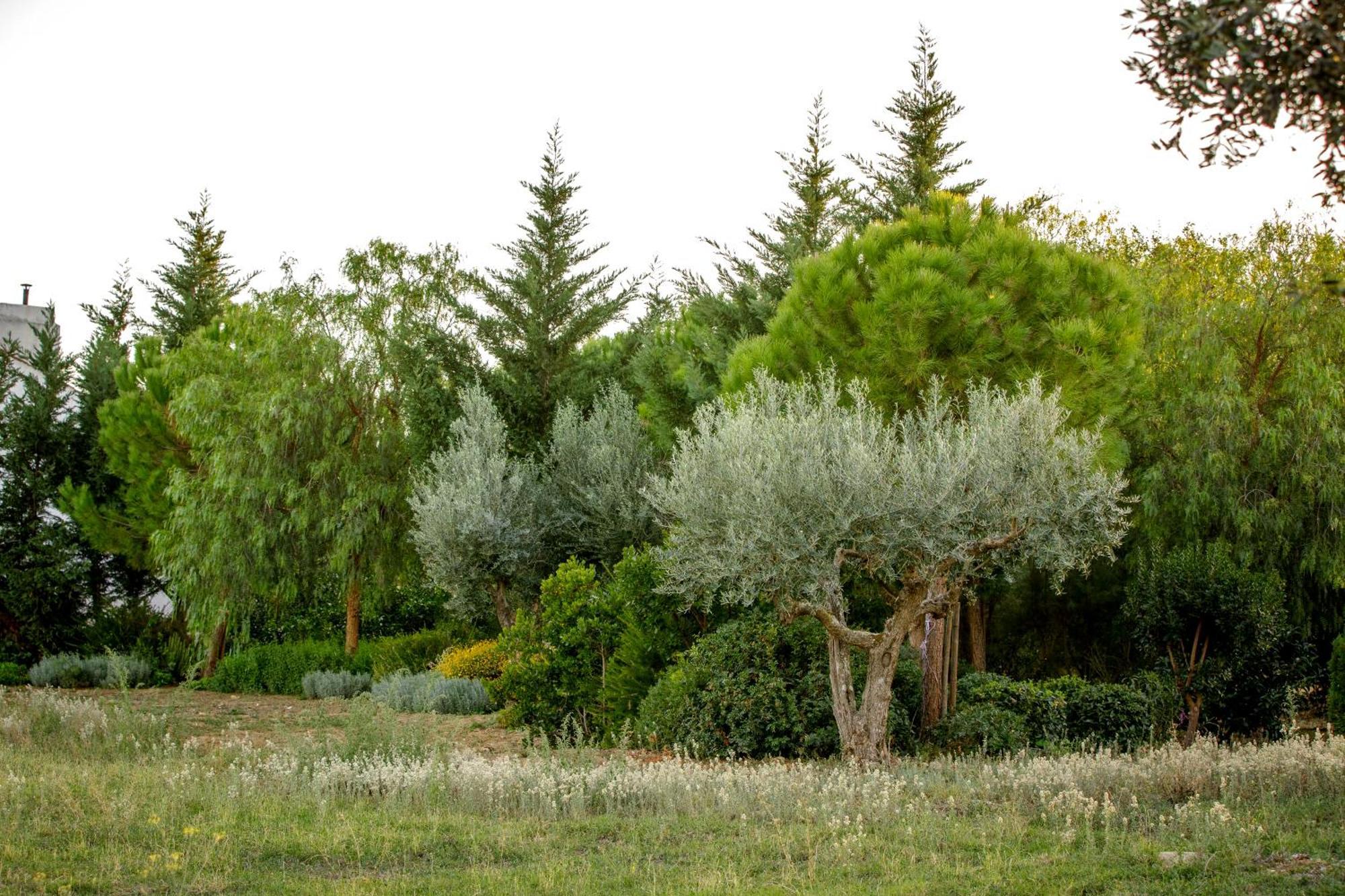Monte Da Hortinha Estremoz Exterior foto